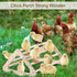 GINTUTO Wooden Chick Perch Stand, Pine Chicks Roosting Bar, Jungle Gym Perch Toys for Chicken Coop & Brooder, Bird