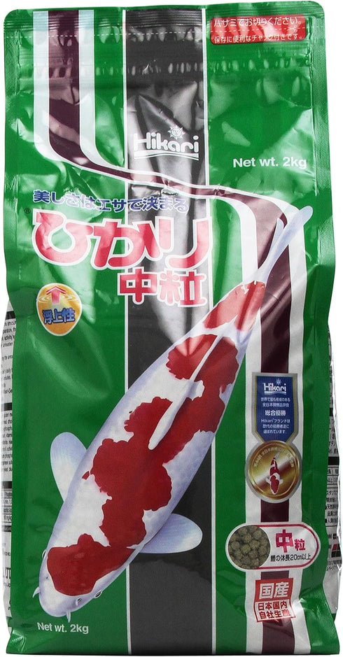 Hikari 4.4-Pound Staple Floating Pellets for Koi and Pond Fish, Medium Size