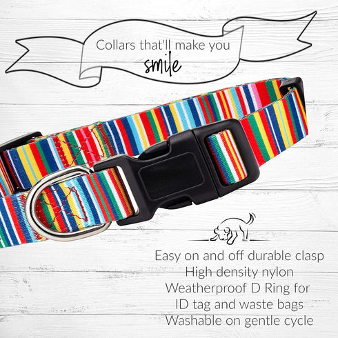 Lucky Love Dog Combo Set, Rainbow Collar & Leash Set for Small Dogs, Colorful Matching Set for Girl or Boy Dogs