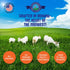 Freeze Dried Raw Goat Milk with Probiotics for Dogs & Cats, Organic USA Veggies & Fruits, High Protein Food Toppers