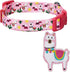 Blueberry Pet Adjustable Dog Collar Happy Llamas with Detachable Décor, Small, Neck 12"-16"