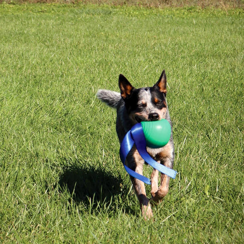 PetKORE 4.75", : KoreFlex Ball & Tail - Green, Dog Toy, Shape Maintaining Rubber, Durable Strap, Treat Stuffing Center