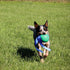 PetKORE 4.75", : KoreFlex Ball & Tail - Green, Dog Toy, Shape Maintaining Rubber, Durable Strap, Treat Stuffing Center