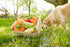 P.L.A.Y. Cute Plush Dog Toys - Fruit & Vegetable Themed Durable Squeaker Chew Toy, Great for Puppies & Small, Medium