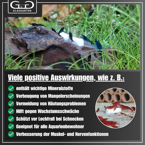 (50g) GlasGarten Mineral Junkie Bites (Sticks) for Shrimps, Crayfish, Crabs, Snails