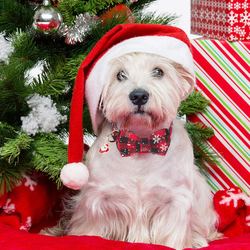 ADOGGYGO Christmas Dog Collar with Bow Tie, Adjustable Red Green Plaid Collar for Small Dogs.
