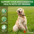 Probiotics for Dogs, Digestive Enzymes for Gut Health, Itchy Skin, Allergies, 120 Probiotic Chews Supplement