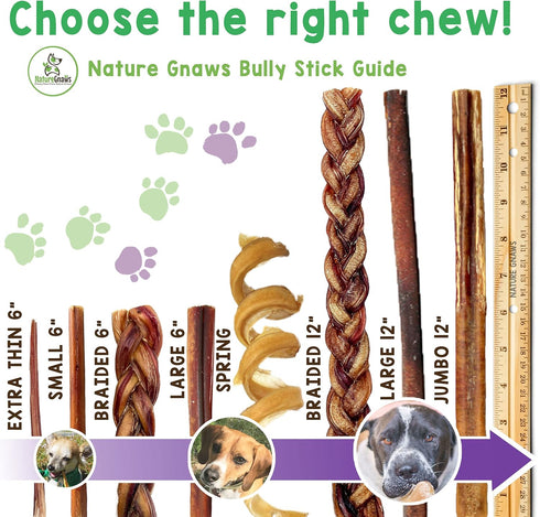 Nature Gnaws Extra Thin Bully Sticks for Dogs, Premium Natural Beef Bones, 6 Inch Long Lasting Chew Treats