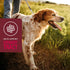 VetIQ 5-in-One Supplement for Dogs, Supports Hip & Joint, Skin Health, Immune System, 60 Count