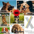 10in Large Dog Grooming Comb for Shedding and Matted Hair, Metal Comb for Large Dogs, Reduces Tangles and Knots