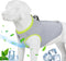 Truelove Dog Cooling Vest Harness, Adjustable Zipper Cooler Jacket for Outdoor Hunting Training, Green X-Small