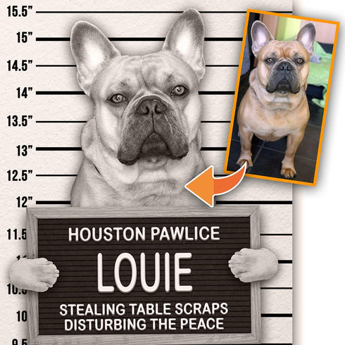 Dog Mugshot Custom Pet Mugshot, Personalized Gift for Your Dog, Cat or Pet