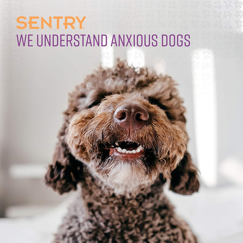 Sentry Pet Care Stop That! Behavior Correction Spray for Dogs - Easy Spray Application to Eliminate Excessive Barking