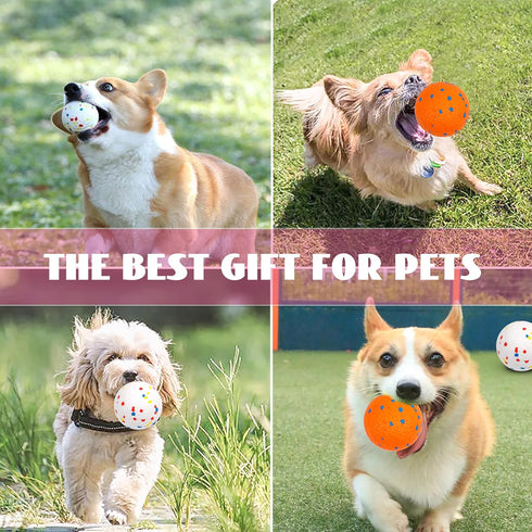 2 Pack 3'' Durable Dog Balls for Aggressive Chewers, Indestructible Floating Balls for Training Fetch