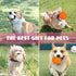 2 Pack 3'' Durable Dog Balls for Aggressive Chewers, Indestructible Floating Balls for Training Fetch