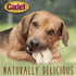 Cadet Premium Grade Beef Hide for Dogs, 5 Inch, Long Lasting Rawhide Donut Bone, Single Ingredient