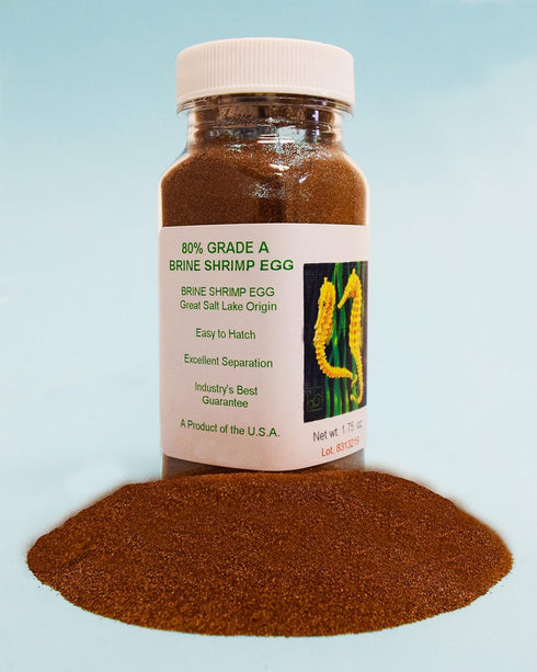 3 Brine Shrimp Hatchery Dish + Months Supply of Brine Shrimp Eggs