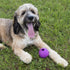 Chew King Dog Fetch Balls, 4 Inch Natural Rubber Toy, All Breed Sizes, Count 2 (Pack of 2) - CM-10031-CS01