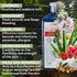 400ml 13.5 oz Arava Natural Medicated Dog Shampoo Anti Yeast Anti Itch Dog Shampoo - Healthy Skin & Coat - First Aid