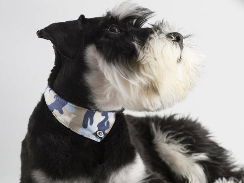 Small Dog Collar Puppy Cat Tiny Pet Bow Tie & Bandana Set, 2pcs PU Leather Canvas Scarf, Durable Camo-Blue