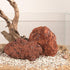 LANDEN Red Lava Stones, 16lbs, 3~10 inch, 11pcs for Aquascaping Terrariums, Reptile Enclosures, Fish Tank Decoration