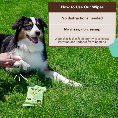 Natural Dog Company Grooming Wipes with Aloe Vera, Hypoallergenic Biodegradable Wipes for Ear, Paws, Face