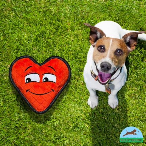 Durable Heart Squeaky Dog Toy for Aggressive Chewers, Tough Chew Toy for Small, Medium, Large Dogs