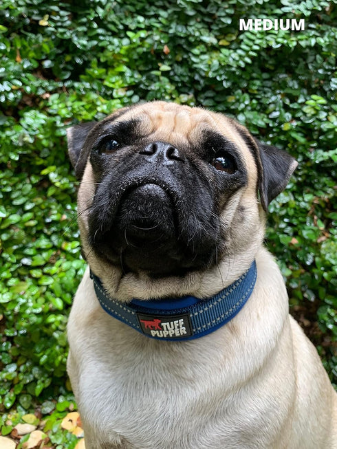 Tuff Pupper Ultra Comfort Padded Dog Collar, Thick Neoprene Padding with Reflective Stitching and Durable Metal Buckle