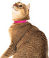 Breakaway Cat Collar, Soft Lightweight Safety Buckle Collar with Name Tag Ring, Pink