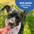 Buddy Biscuit Softies Dog Treats, 6 oz Pouch, Soft & Chewy, Natural Bacon and Cheese Flavor