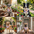 Summer ADOGGYGO Floral Dog Bandana, Colorful Floral Puppy Scarf Bib, Premium Fabric, Spring Flower Bandana for Small