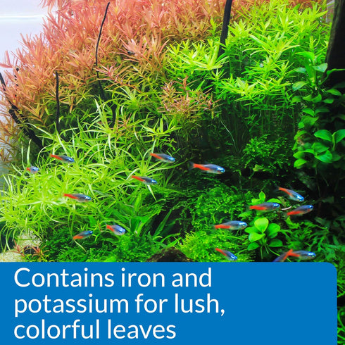 API LEAF Z Freshwater Aquarium Plant Fertilizer, 8-Ounce Bottle