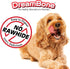 Dreambone Twist Sticks, 50 Count, Rawhide-Free Chews with Real Bacon and Cheese Flavor (3 Pack)