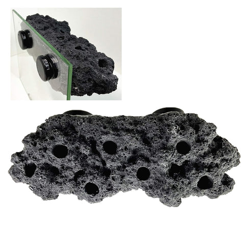 Magnetic Reef Coral Frag Rack with Strong N52 Magnets for 1/2" Glass (Black)