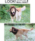 Onmygogo Funny Pet Moose Costumes for Dog, Cute Furry Pet Wig for Halloween Christmas, Pet Clothing Accessories (Bull, Size L)