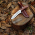 Flissa Fixed Blade Knife with Sheath, 9.8'' Full Tang Hunting Knife with High Carbon Steel Blade, Camping Knife