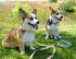 lionet paws Cotton Handmade Dog Leash Unique for Small Medium Large Dogs