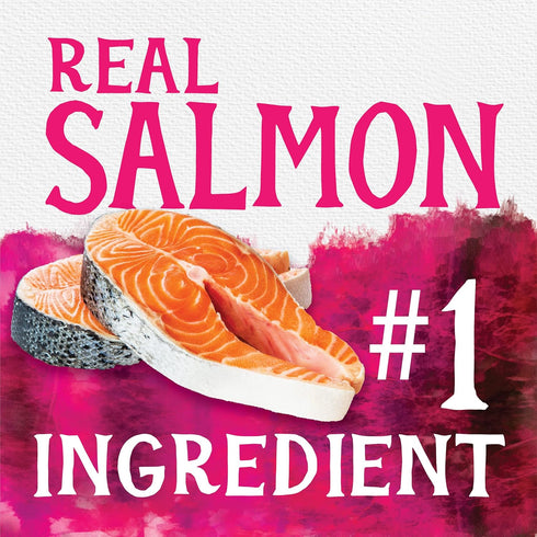 Triumph Free Spirit Grain Free Salmon and Vegetable Recipe Jerky Bites Soft Dog Treats | 24 oz