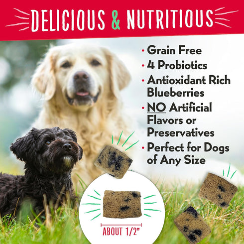 Charlee Bear Grain Free Meaty Bites Dog Treats - Freeze Dried Chicken and Blueberries, 2.25 Ounce Resealable Bag