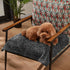 Kritter Planet Waterproof Puppy Blanket for Small Dogs, Pee Proof Sherpa Fleece, Reversible Cover for Couch and Bed