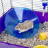 Ware Manufacturing Flying Saucer Exercise Wheel for Small Pets, 5-Inch, Colors May Vary