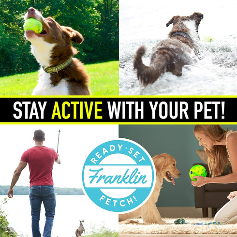 Franklin Pet Supply Co. Ready Set Fetch Laugh + Wiggle Ball - Interactive Dog Toy with Fun Giggle Sounds