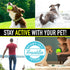 Franklin Pet Supply Co. Ready Set Fetch Laugh + Wiggle Ball - Interactive Dog Toy with Fun Giggle Sounds
