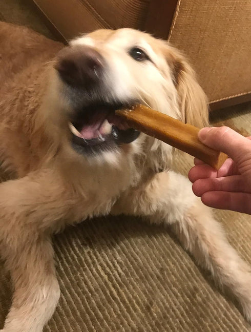 Authentic Himalayan Yak Cheese for Dogs, XLarge (Pack of 1), Rawhide-Free, NO Preservatives