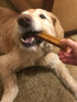 Authentic Himalayan Yak Cheese for Dogs, XLarge (Pack of 1), Rawhide-Free, NO Preservatives