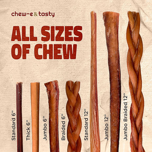 12" (5 chew-e&tasty Large Braided Bully Sticks for Dogs Sticks) - Long Lasting Beef Chews - Made of Digestible High