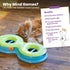 Figure-8 Catstages Infinity Ball Track for Cats with Two Balls, Including One Light-Up Ball, Shaped Cat Ball Track