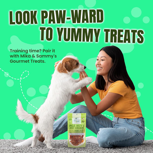 Gourmet Jerky Dog Treats - Natural Chicken Jerky for Dogs, Nutritious, Made in USA, 5 oz