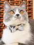 Small Dog Collar Puppy Cat Tiny Pet Bow Tie & Bandana Set, 2pcs PU Leather Canvas Scarf, Durable Camo-Blue