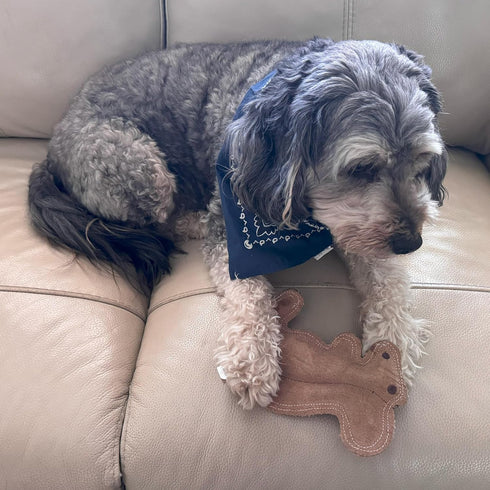 SPOT 8in Dura-Fused Leather Squirrel Dog Toy Real Leather & Jute Fabric, Double-Stitched & Durable, Soft Stuffed